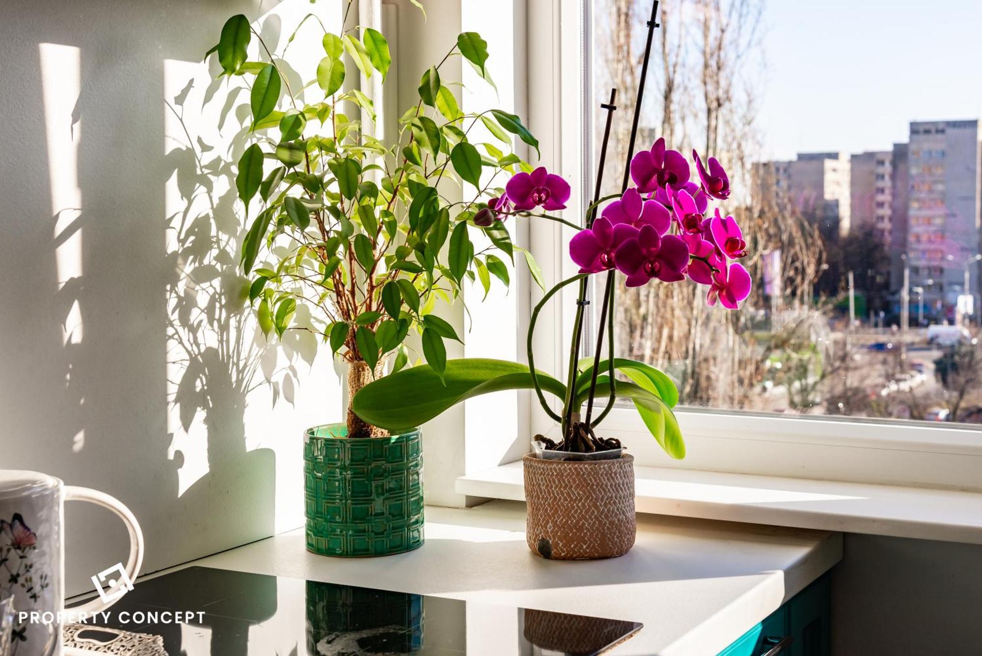 Blissful Retreat Apartment บูคาเรสต์ ภายนอก รูปภาพ