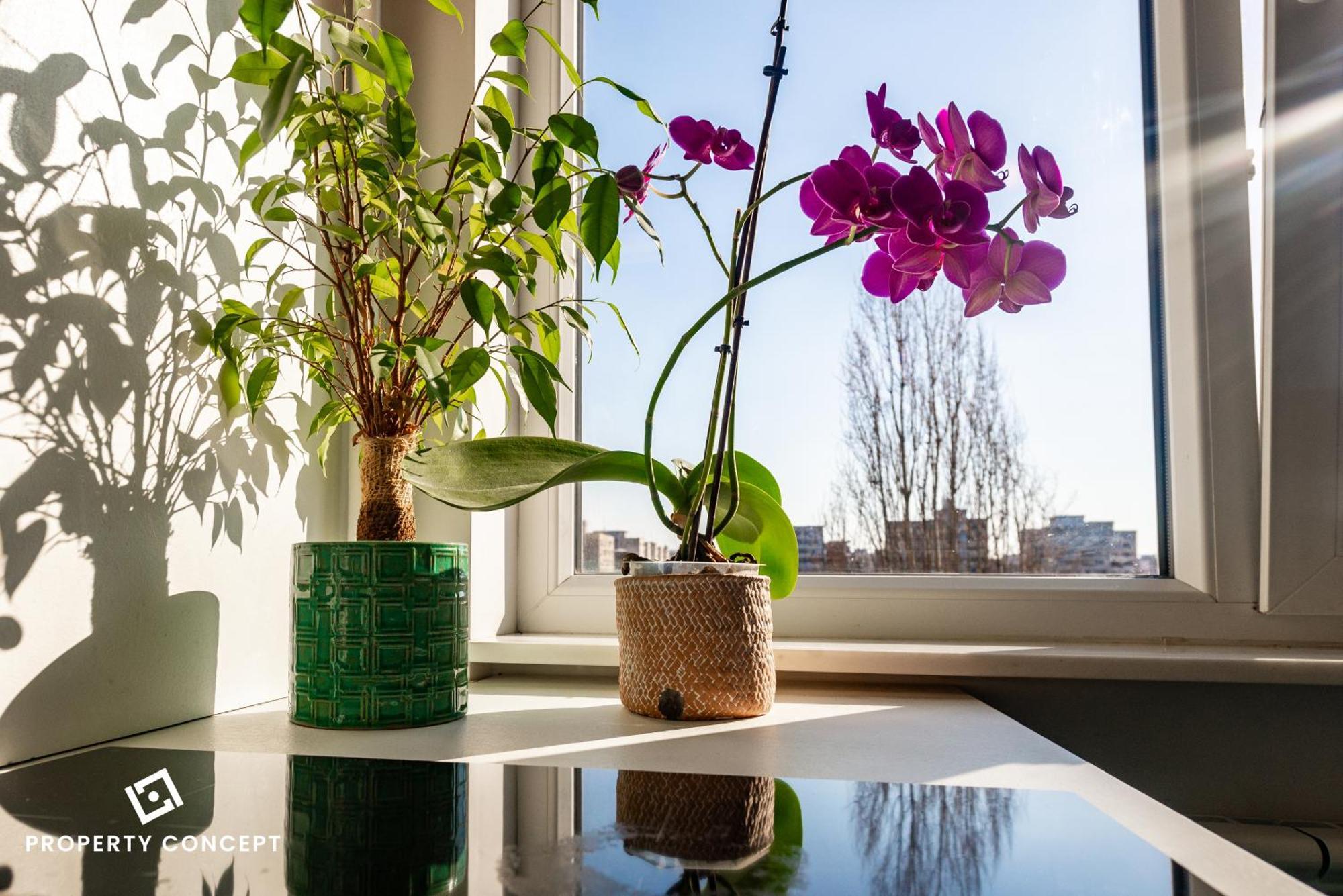 Blissful Retreat Apartment บูคาเรสต์ ภายนอก รูปภาพ