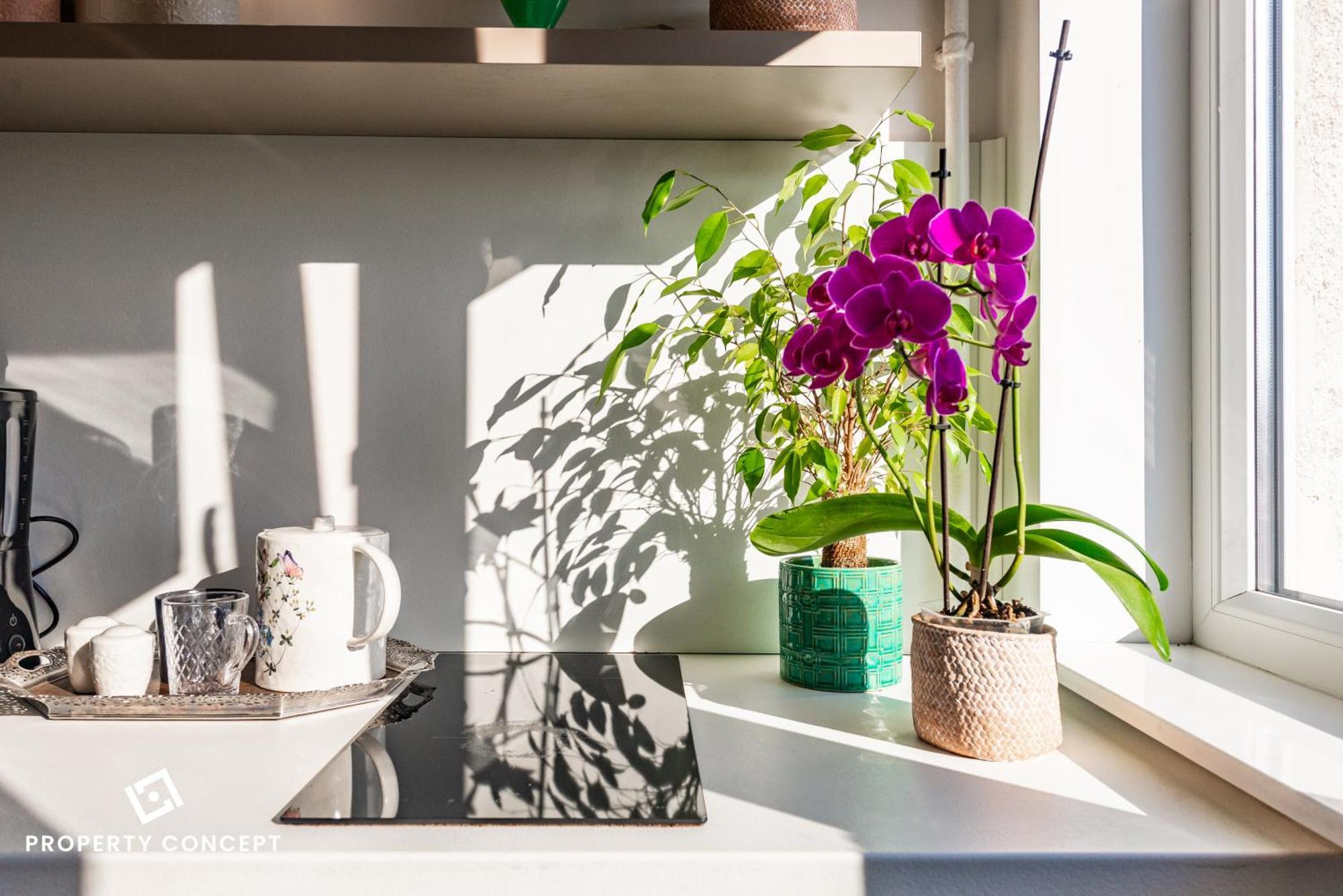 Blissful Retreat Apartment บูคาเรสต์ ภายนอก รูปภาพ